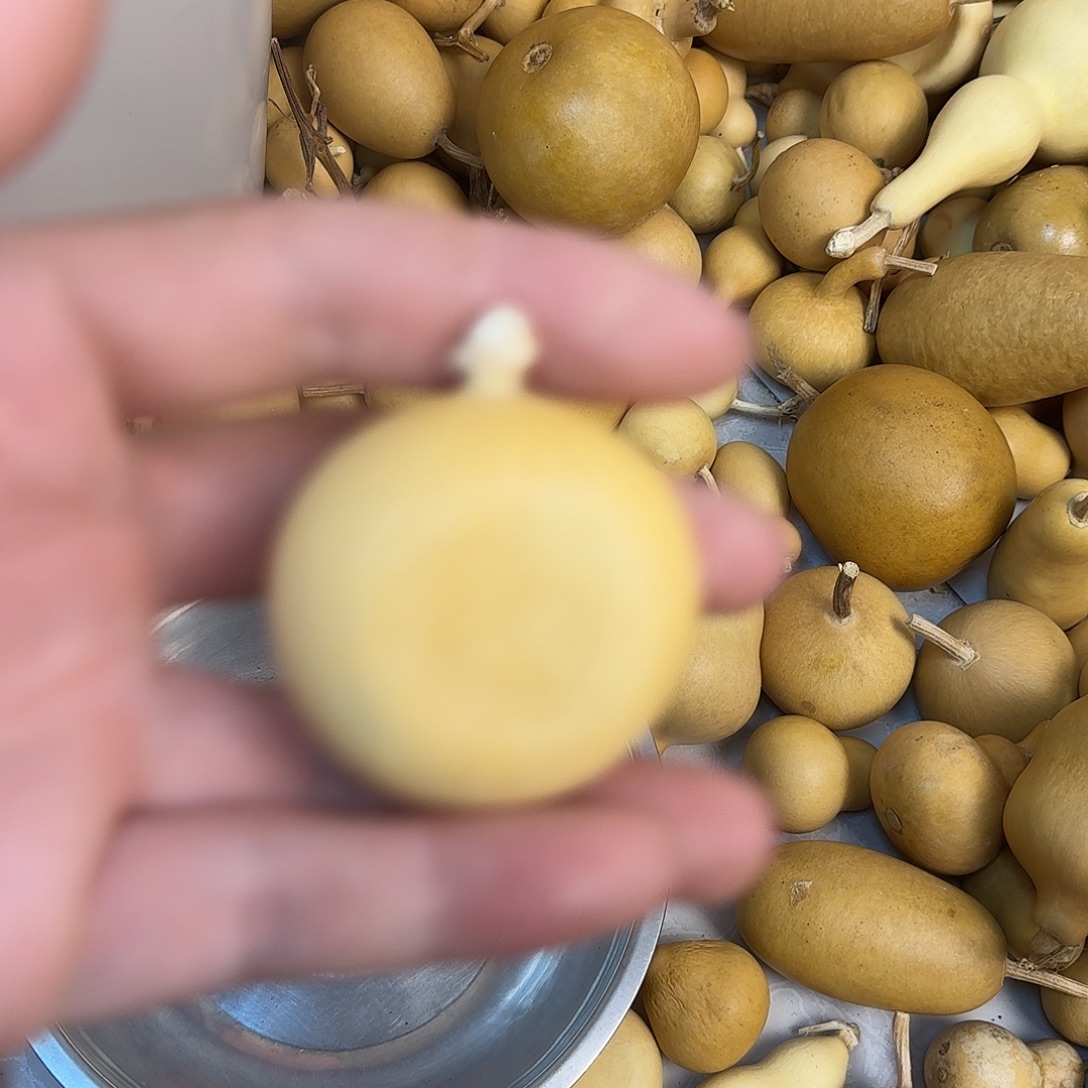 桃****直播间葫芦专属链接6