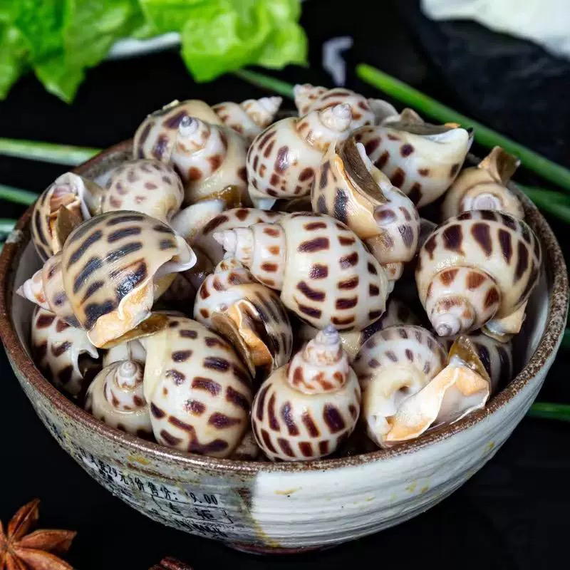 ［万源优选］北海花螺