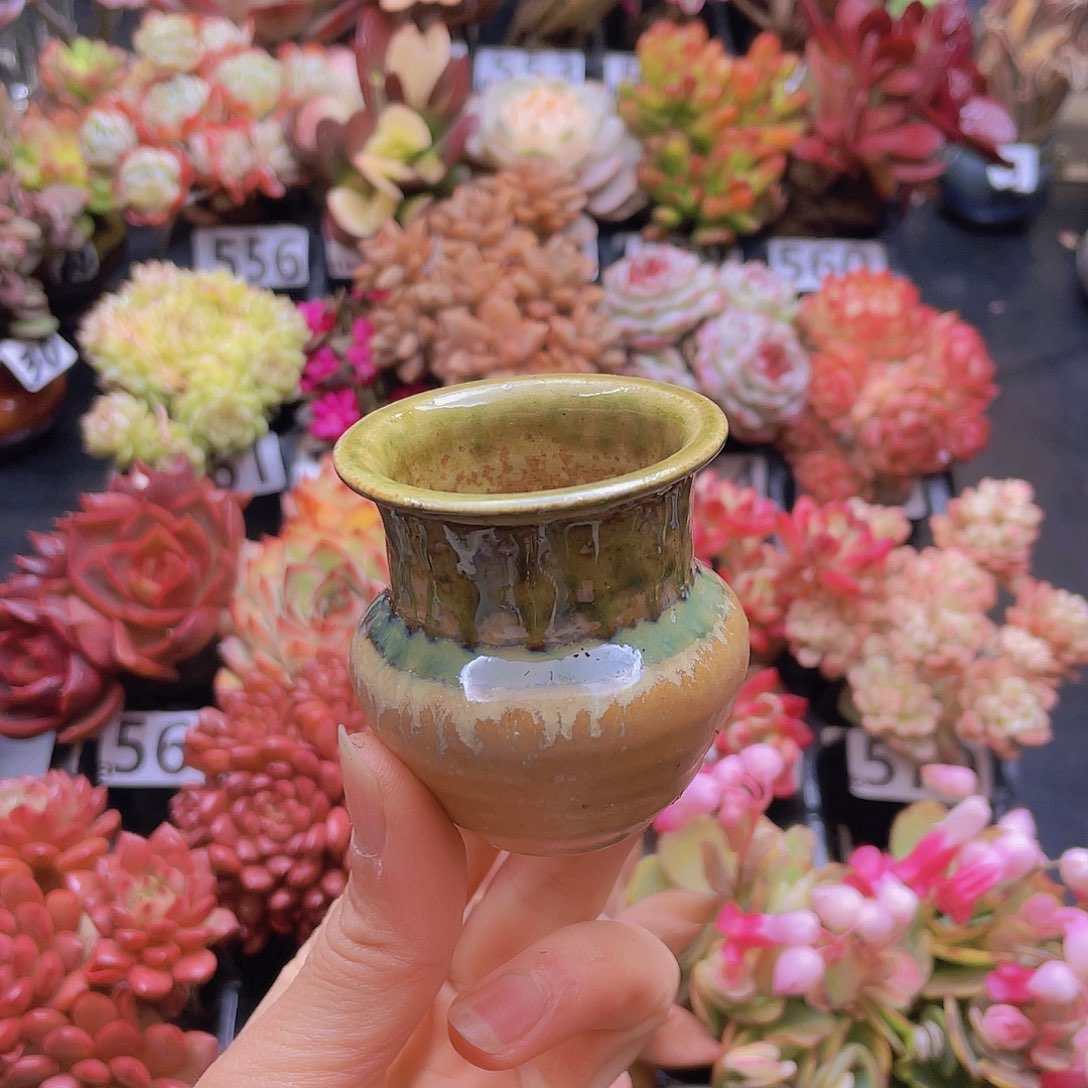 ****）花钱花钱花钱花钱花钱