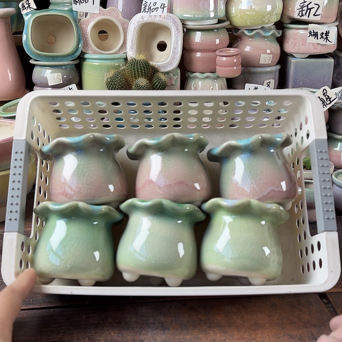 量货/4.5口高6.5深浅搭配发6