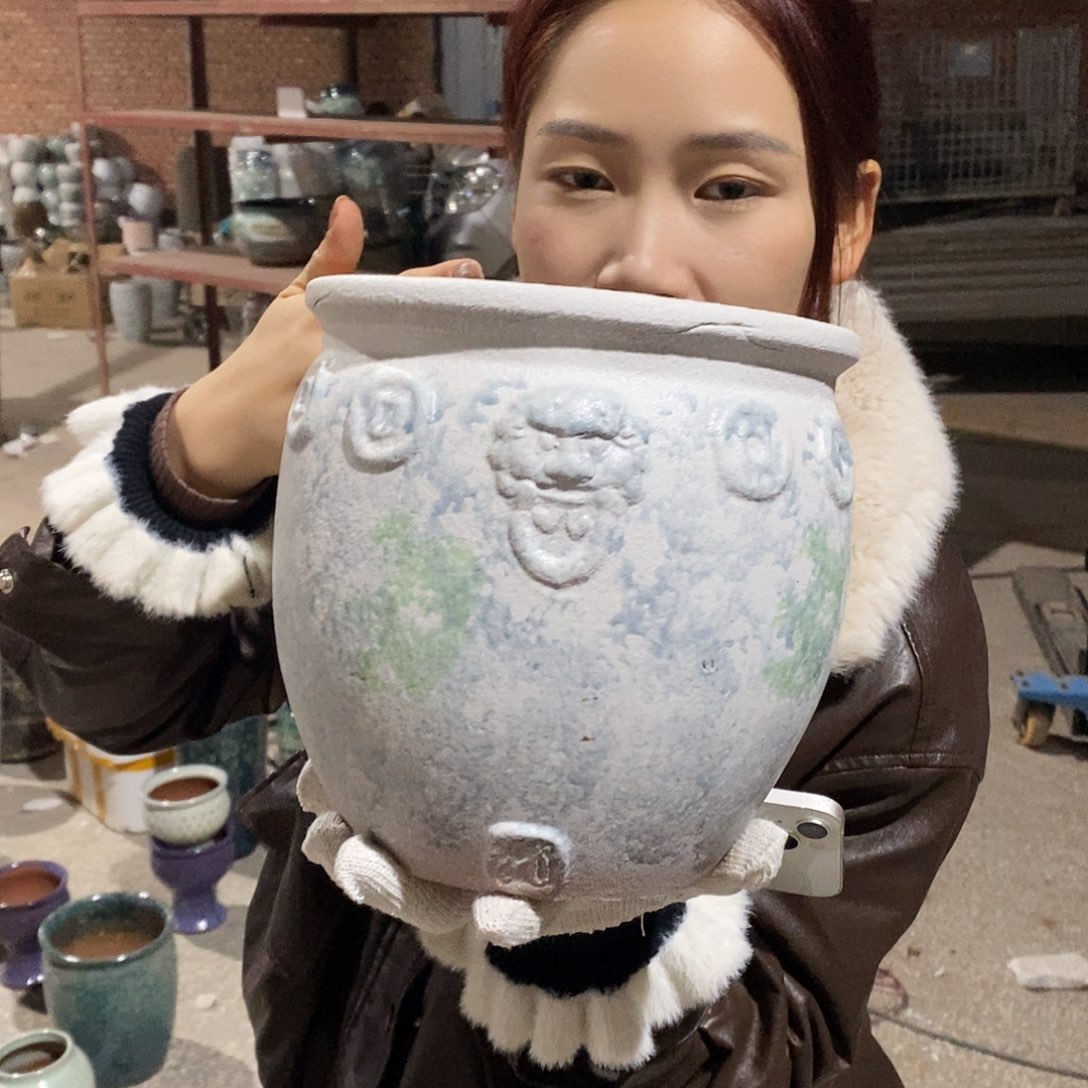 瑕疵20/20、nfvgbgg