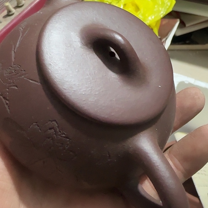 贝壳杉用****6Ggghghghggggg