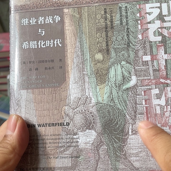 裂土称王微瑕图书