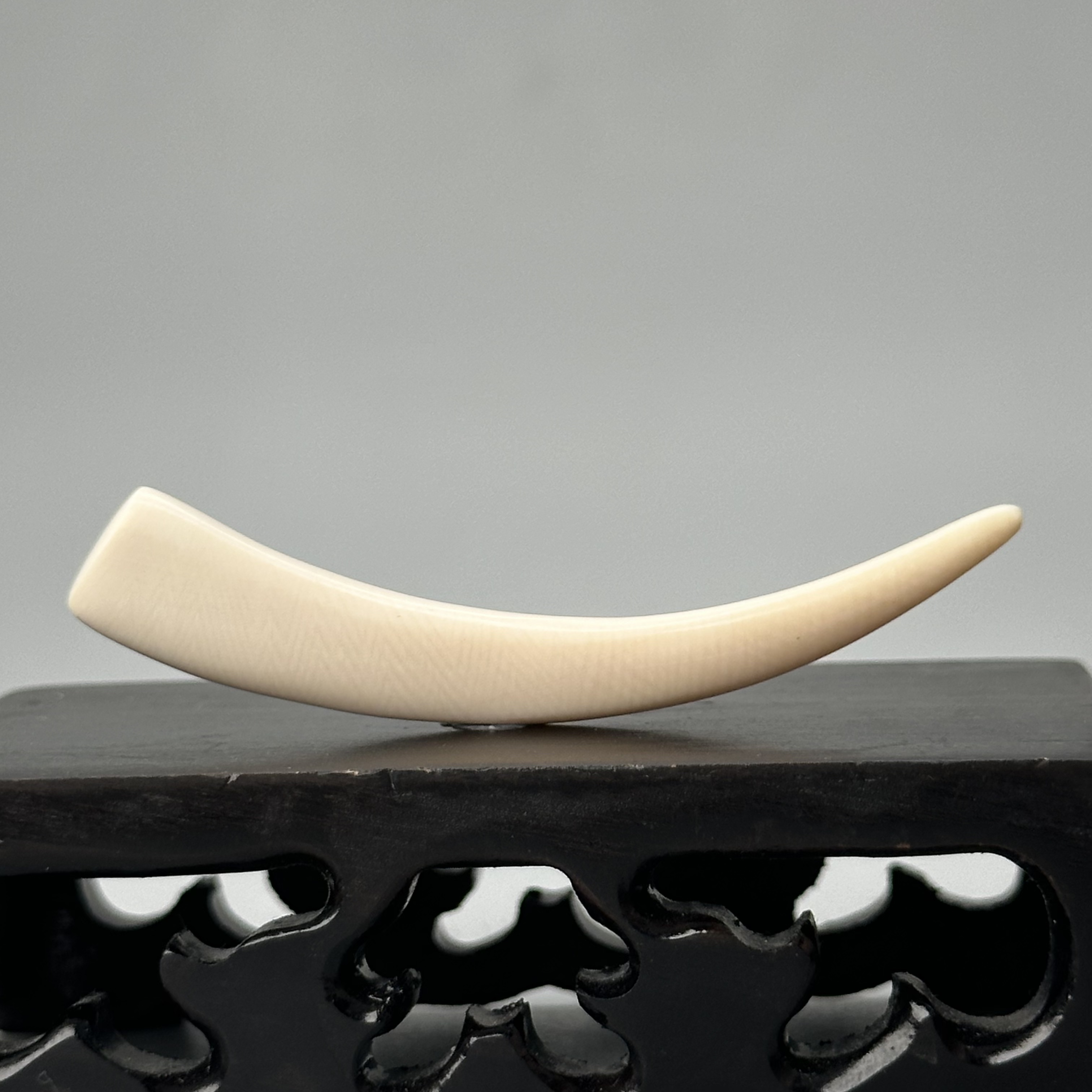 DEZHI/德志2.6g纯肉牙尖58*9*6mm天然猛犸牙默认打孔绑绳P290