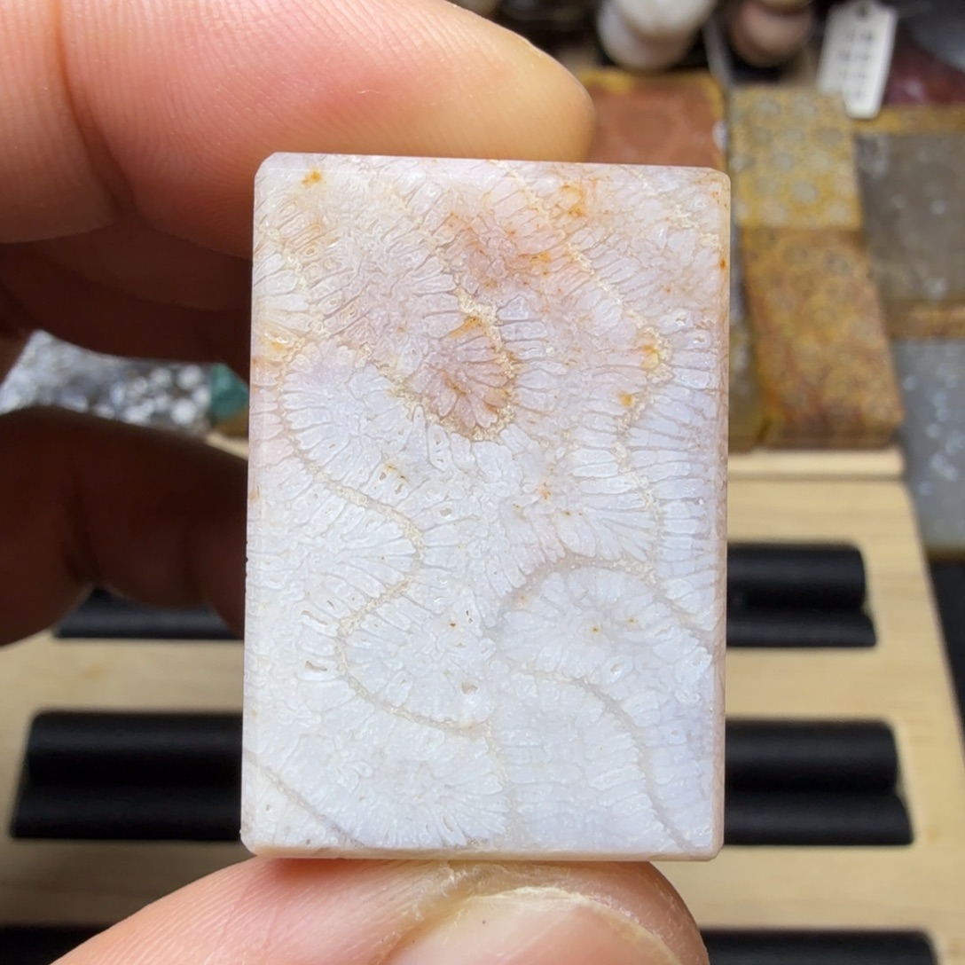 硅化玉未镶嵌纯天然色有机玉石保真色