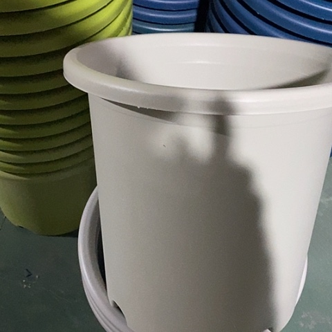 树脂四季8号灰白无托5个