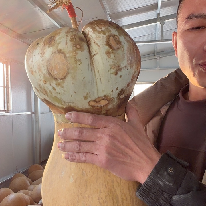 用***1葫芦头的做法很简单的