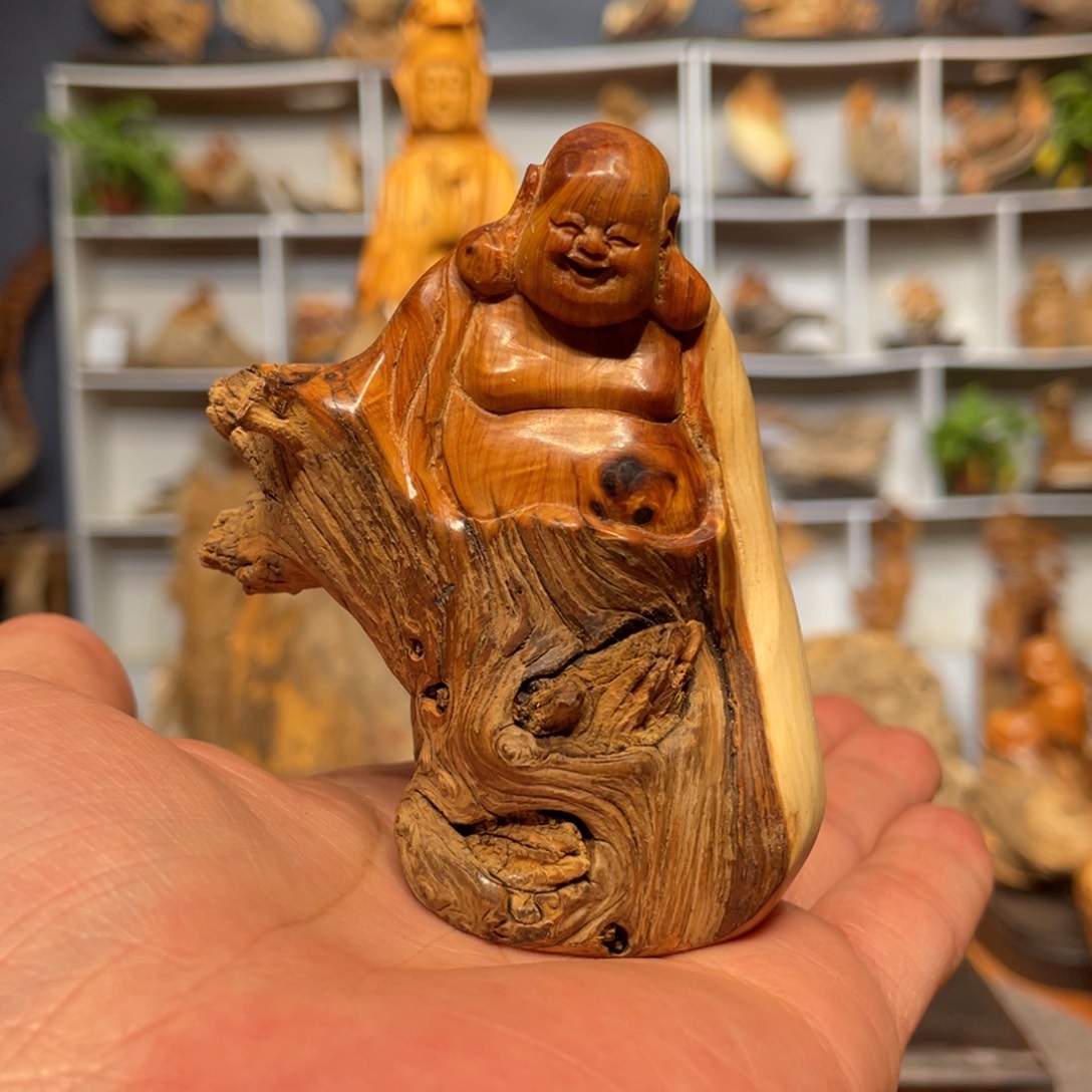 柏木（崖柏）55666655555555