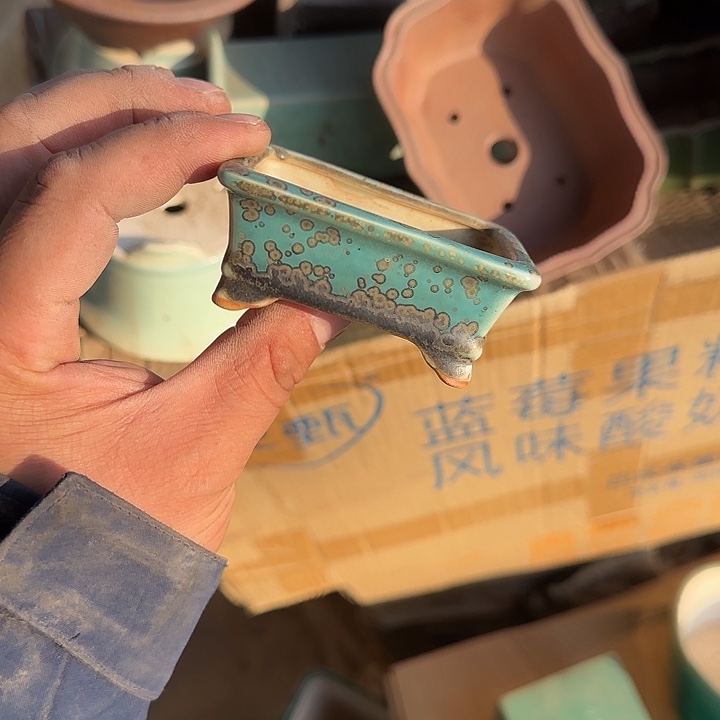 在干嘛的我还以为自己没看完这
