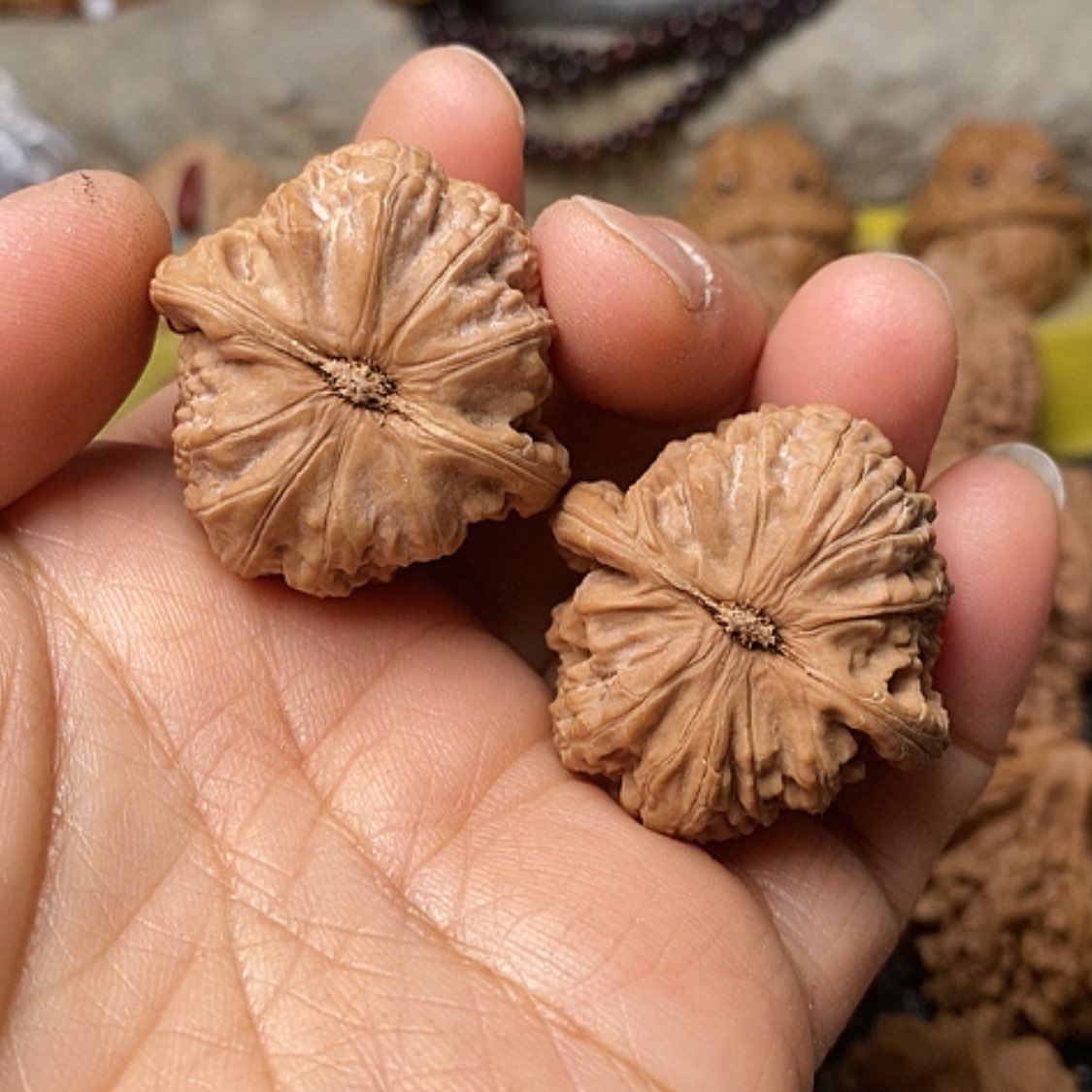 【闪购商品】把件文玩核桃H*三角白全品33