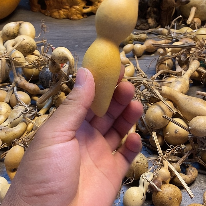小***品手把件蚂蚁文玩葫芦