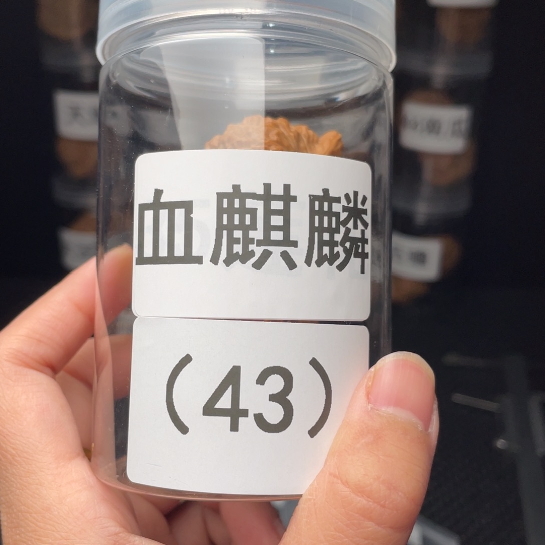 文玩核桃把件一*血麒麟43