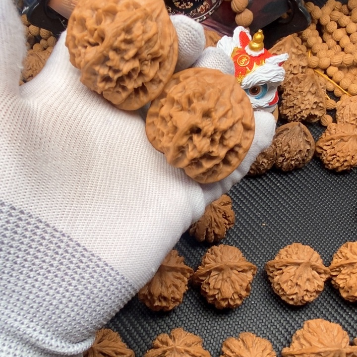 小*秦岭大花44尺