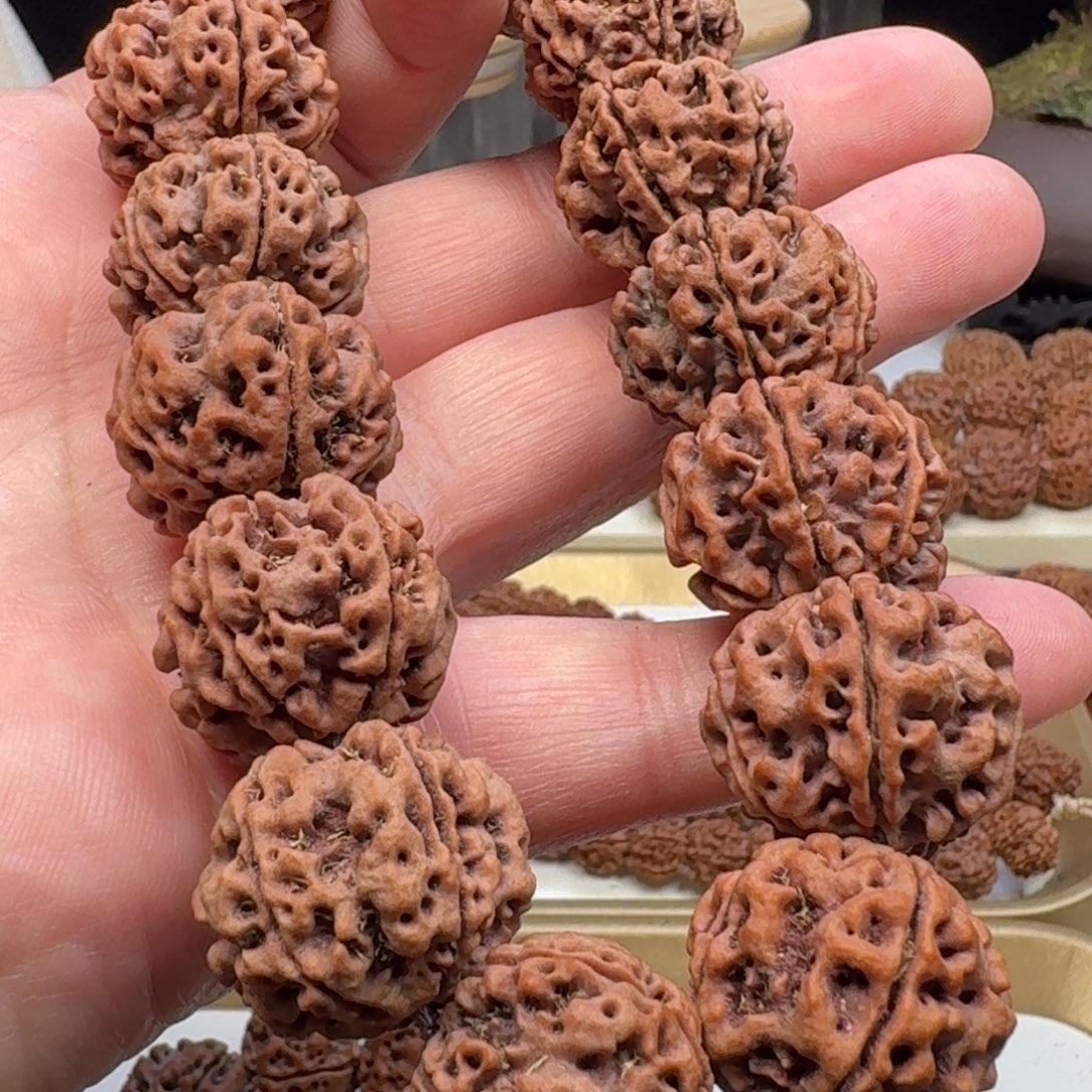 伟***哥手串金刚菩提粗筋蜂窝双龙