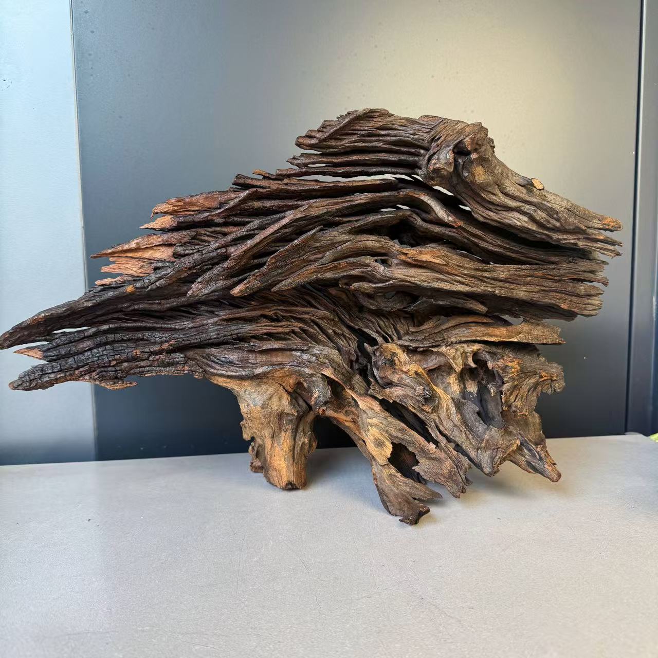 【大爆裂精品】云南鱼缸造景沉木云南沉木绿皮刺紫柚木清香杜鹃根木