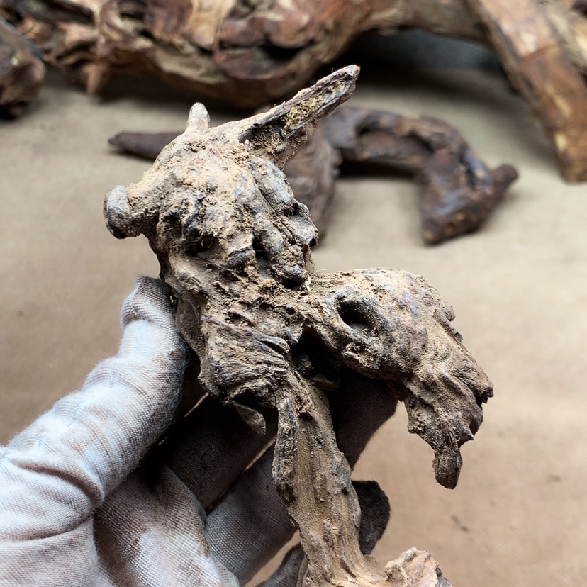 【闪购商品】黄花梨/降香黄檀生**人原材料