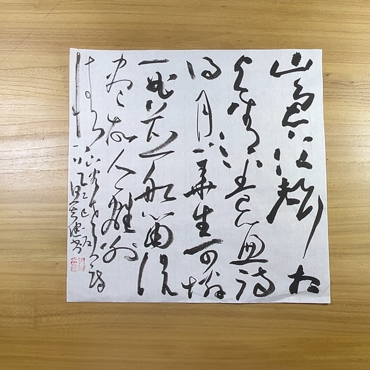 书法中书协老师作品