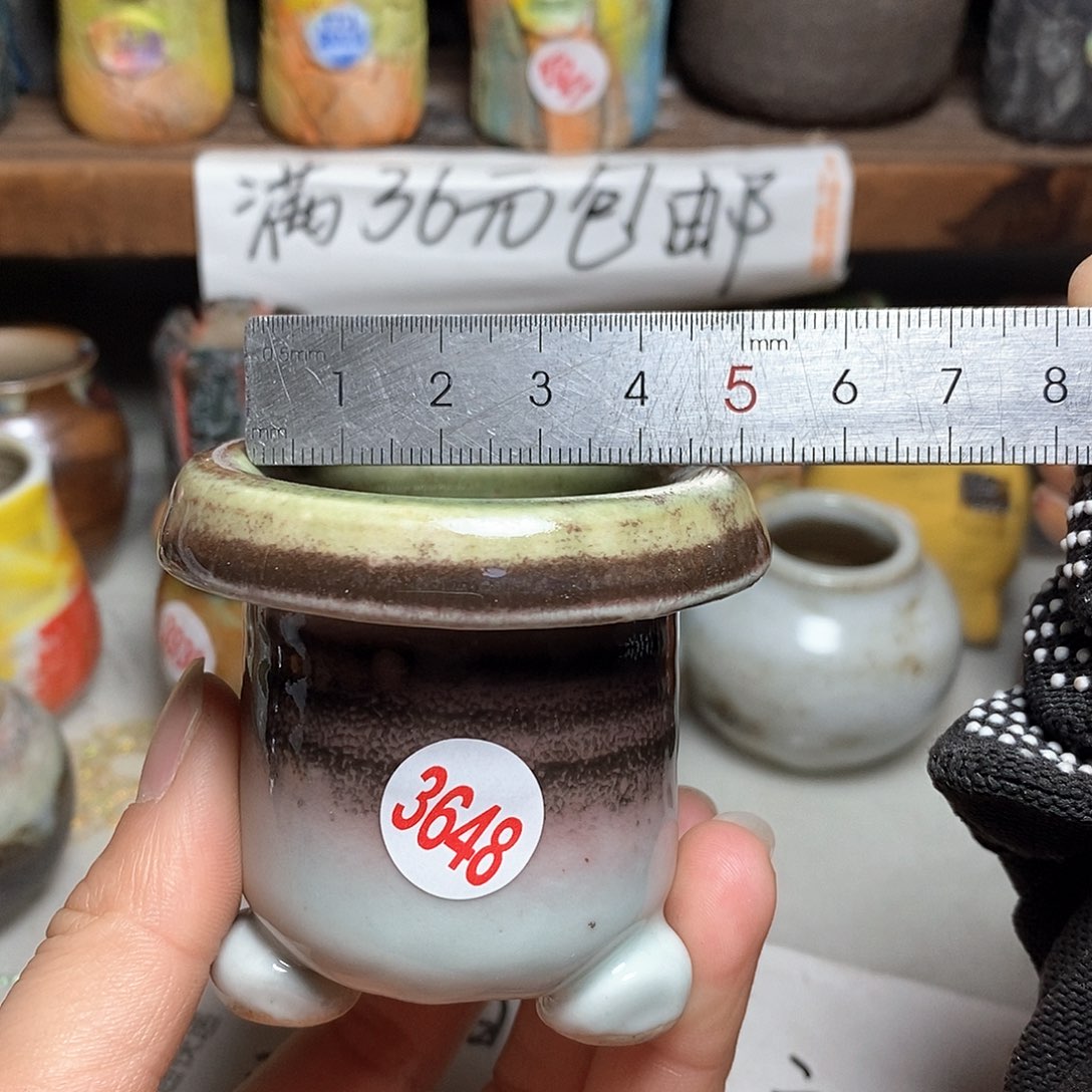红陶拍5送一个小