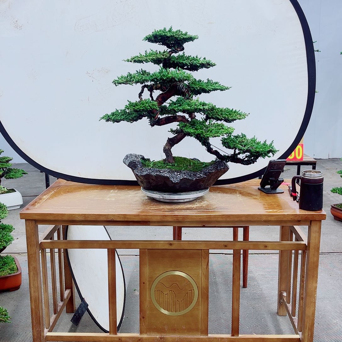 无花朵直播间一物一拍