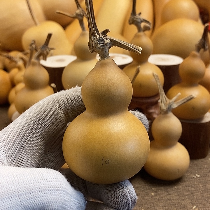 文玩葫芦 完美主义者 慎拍10