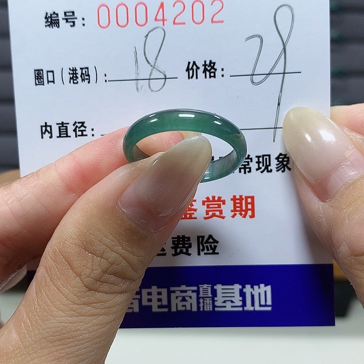 翡翠未镶嵌戒圈ga4202