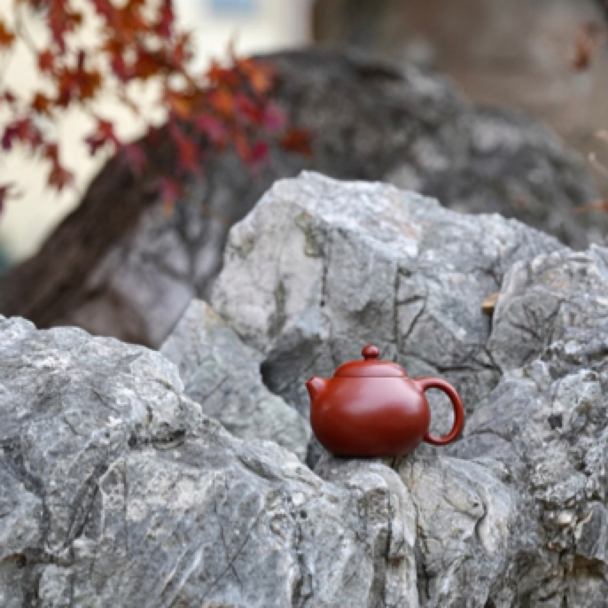 手印紫砂文旦壶原矿朱泥小容量全手工收藏器紫砂壶纯手工茶具红泥