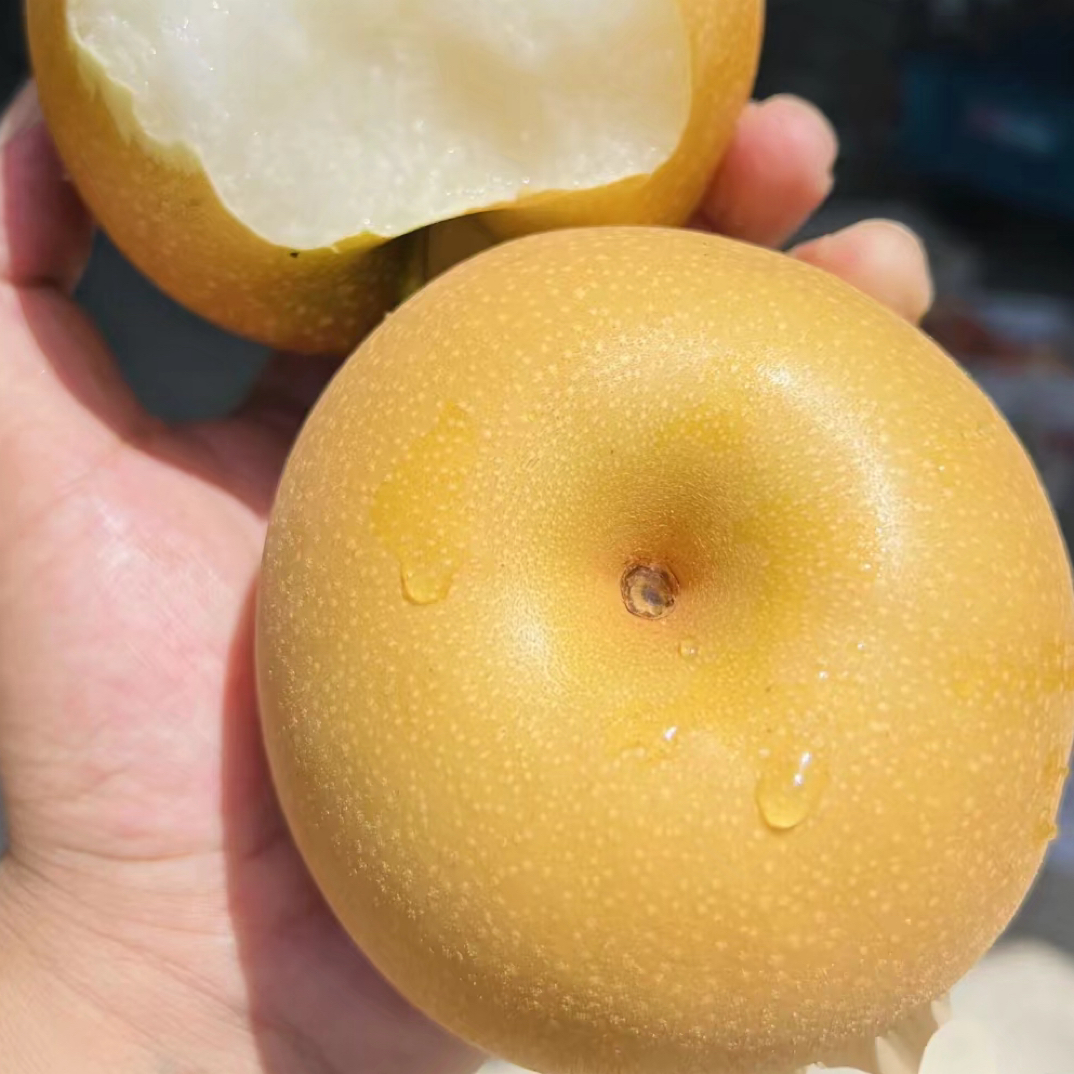 11.9/个秋月梨约400g