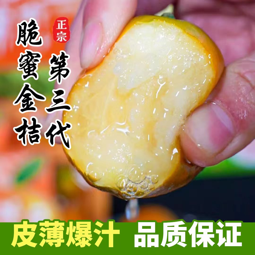 【标王】广西第三代脆蜜金桔多汁皮薄当季新鲜水果时令现摘现发