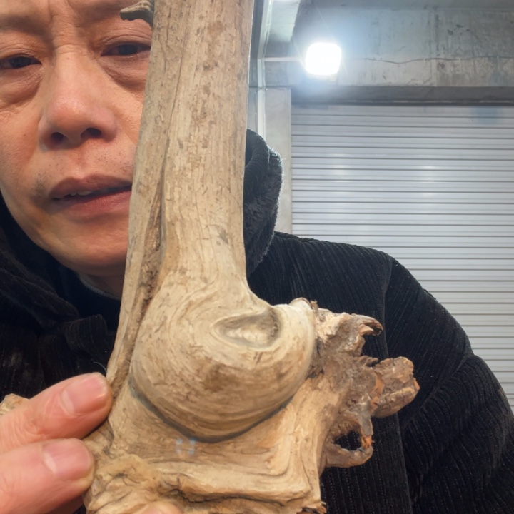 袁***锵我们都是好孩子呀