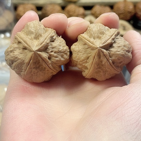 文玩核桃把件玄武索带彩39+差尺