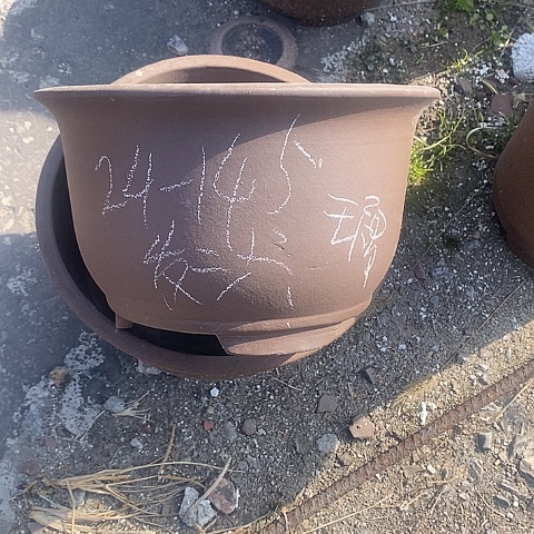 紫砂中国宜兴紫砂花盆，