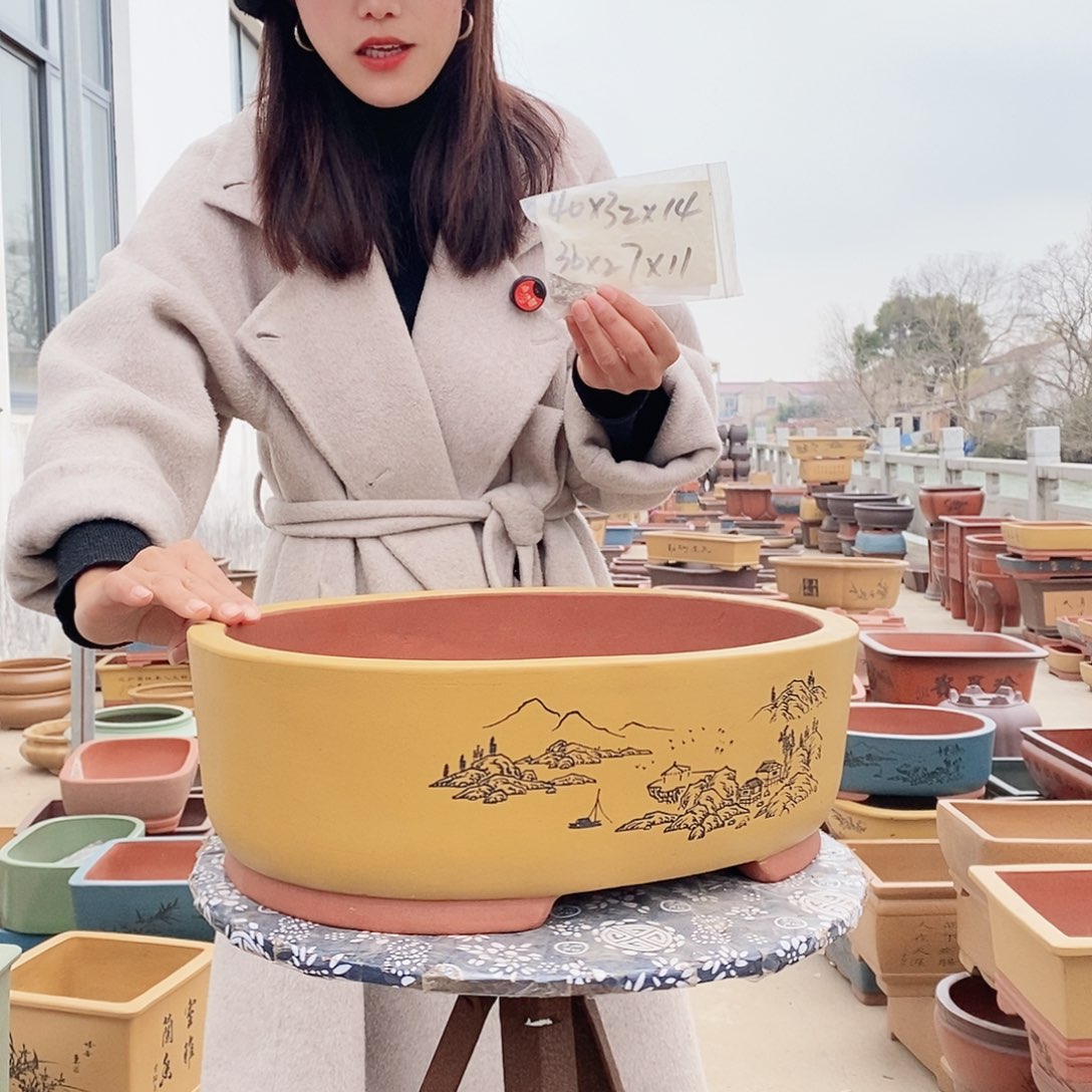 紫砂花盆紫砂花盆