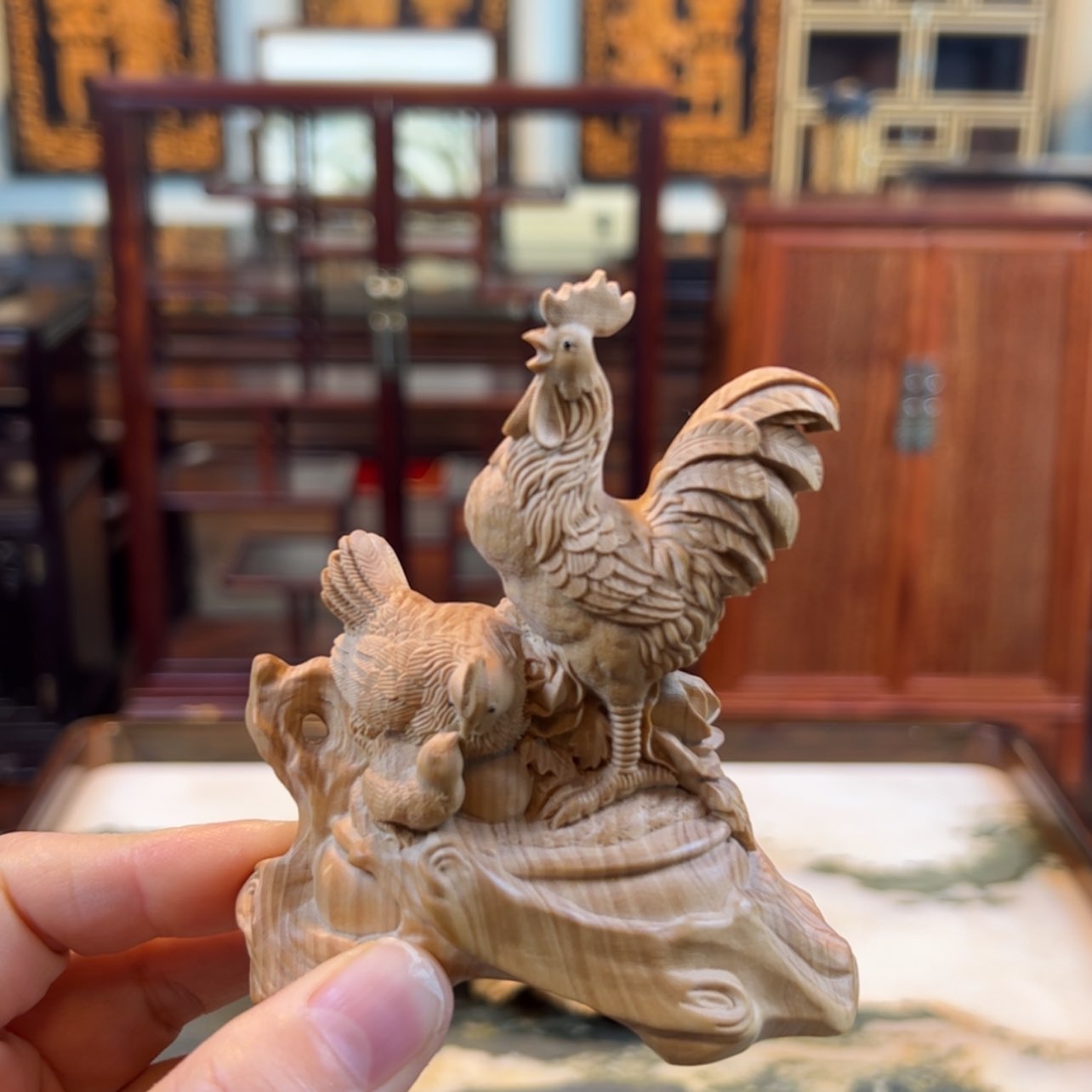 【闪购商品】黄杨木其他黄杨木