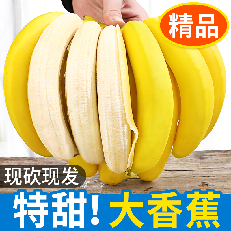 云南高山甜香蕉5斤新鲜水果当季现摘大芭蕉小米蕉甜香蕉自然熟