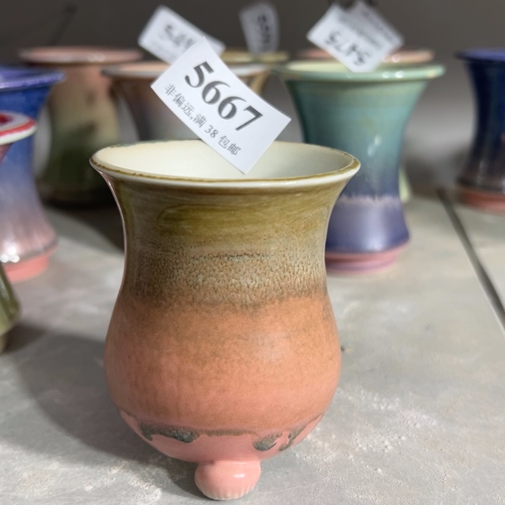 口5～6厘米……特价花盆