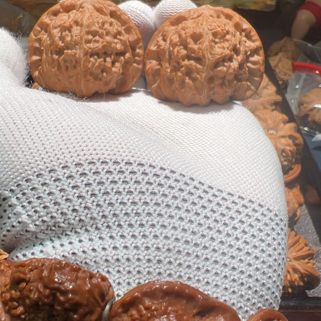 文玩核桃把件静*白狮子