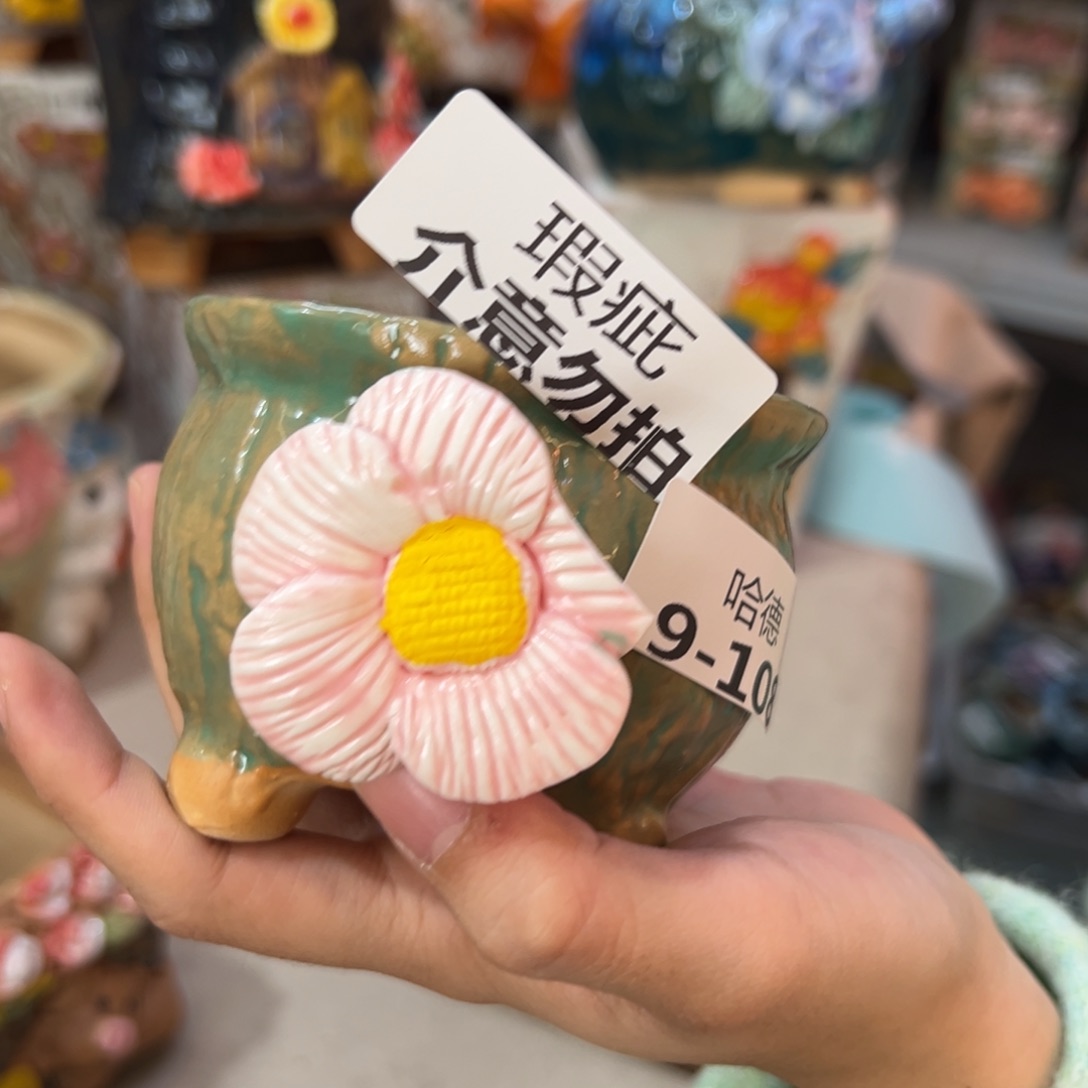 满20飞花盆爱退拉黑