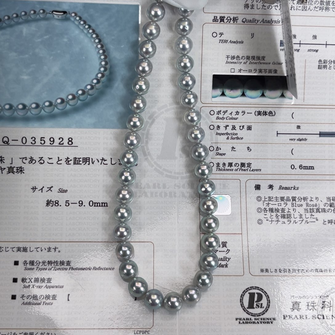 18K金镶嵌耳饰海水珍珠859真科研超级蓝玫瑰