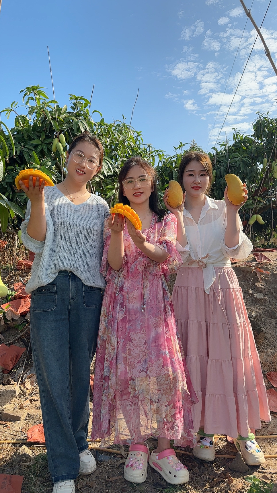 (阿栋自营)正宗海南金煌芒核薄肉厚4.5到5斤催熟放软食用