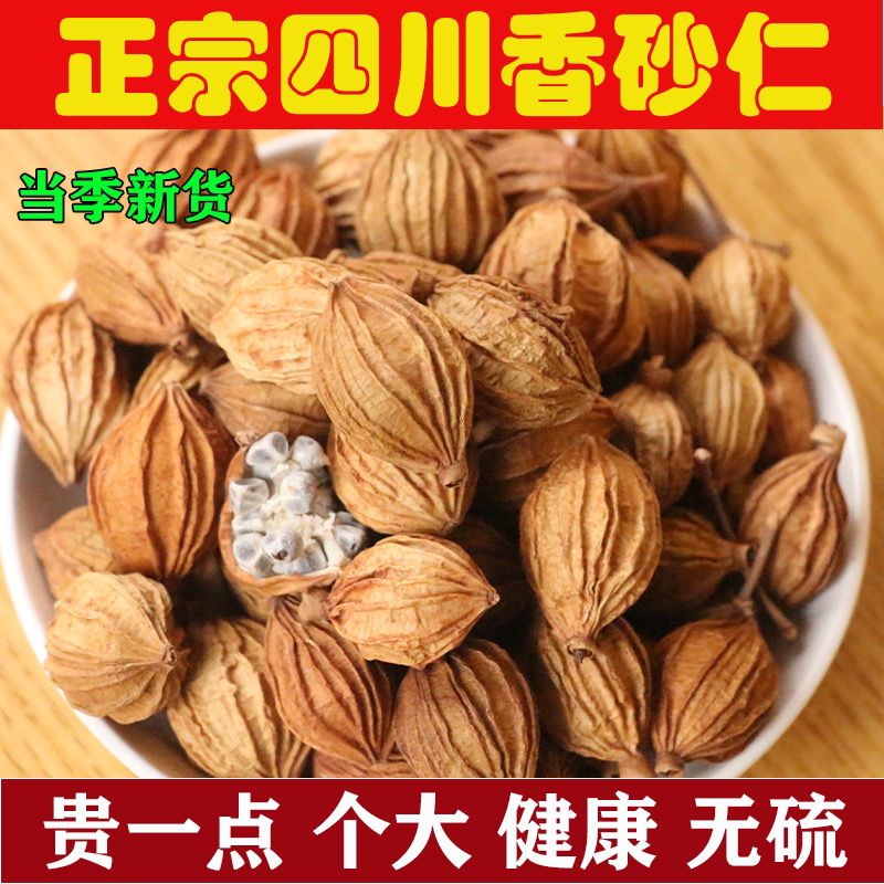 TX香砂仁川砂仁金砂仁香料卤料火锅底料薄壳散装炖卤肉沙仁批发商