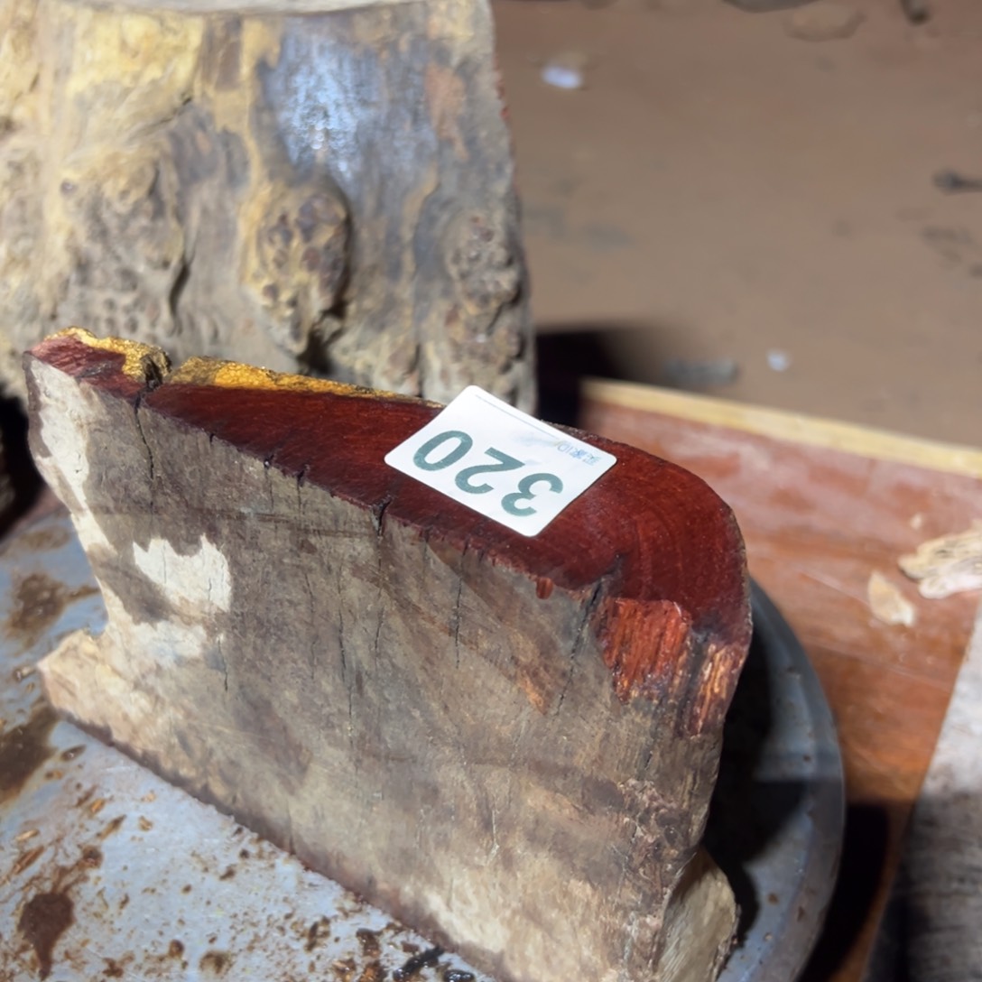 大果紫檀（缅甸花梨）