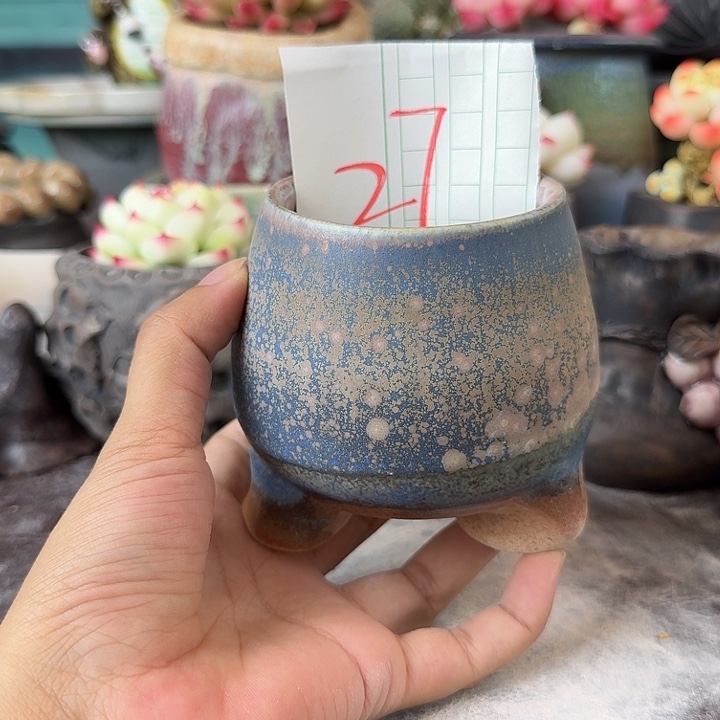 重庆小燕子欢迎大家27