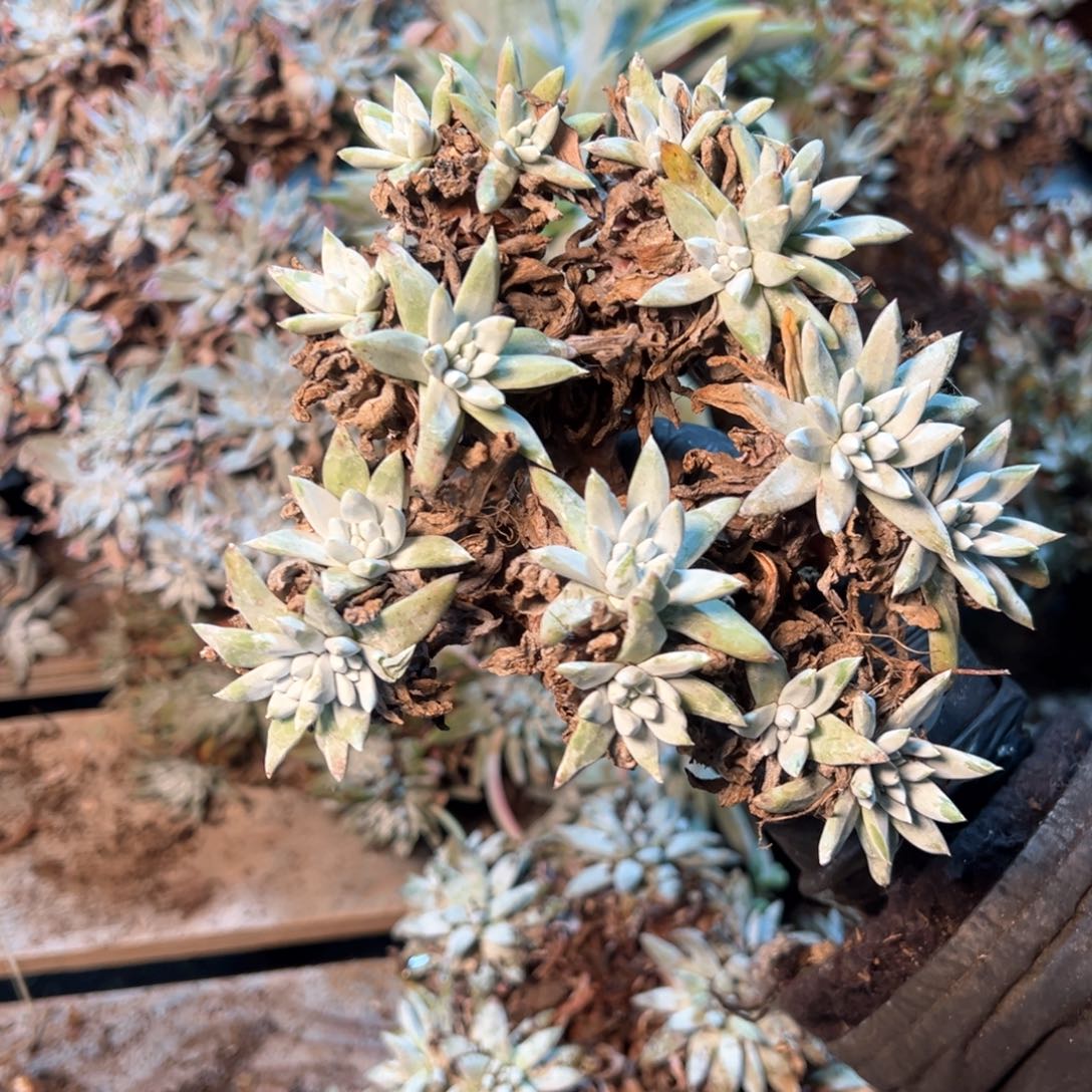 7816哈哈哈哈哈哈哈