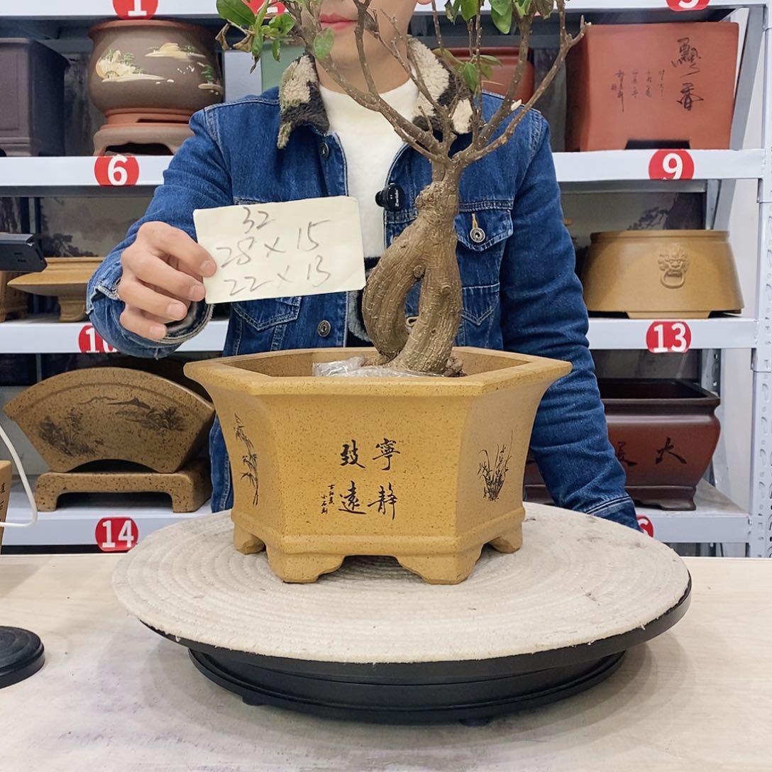 紫砂花盆紫砂花盆