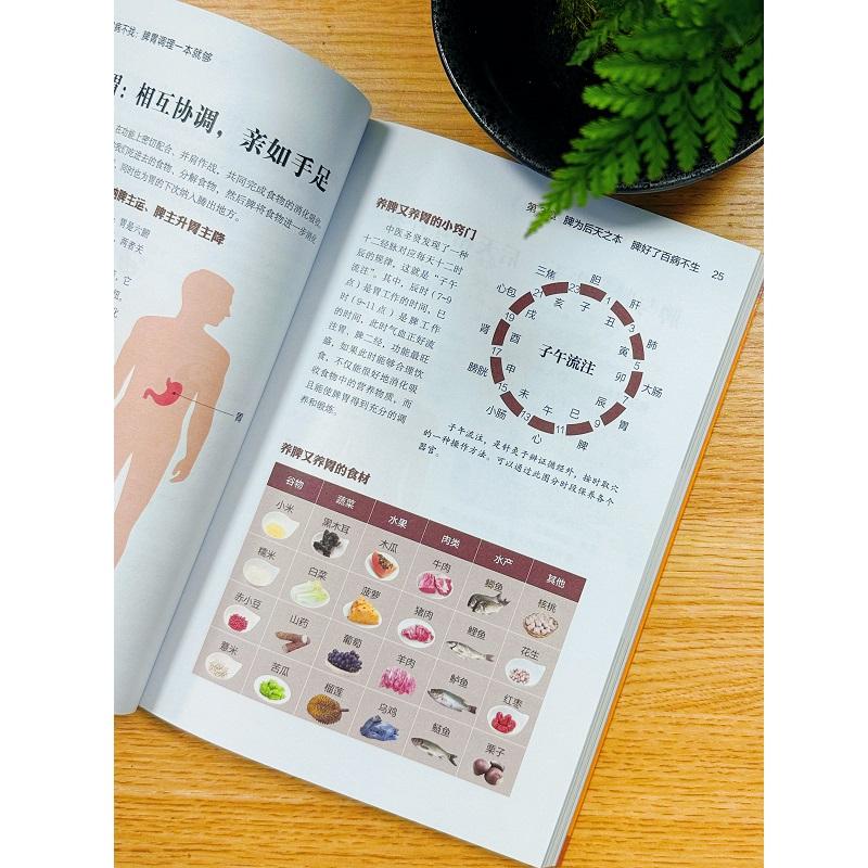 脾不虚病不找 脾胃调理一本 够 杨力 12种常见病调理方案 21个生