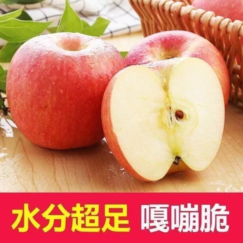 【红富士苹果】新鲜现摘脆甜多汁水果纸箱膜袋山东云仓发货