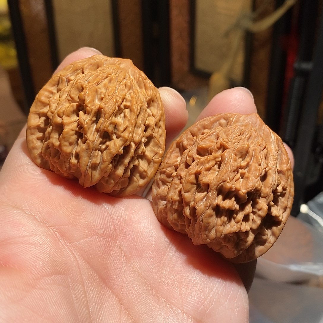 文玩核桃把件42虎头全品