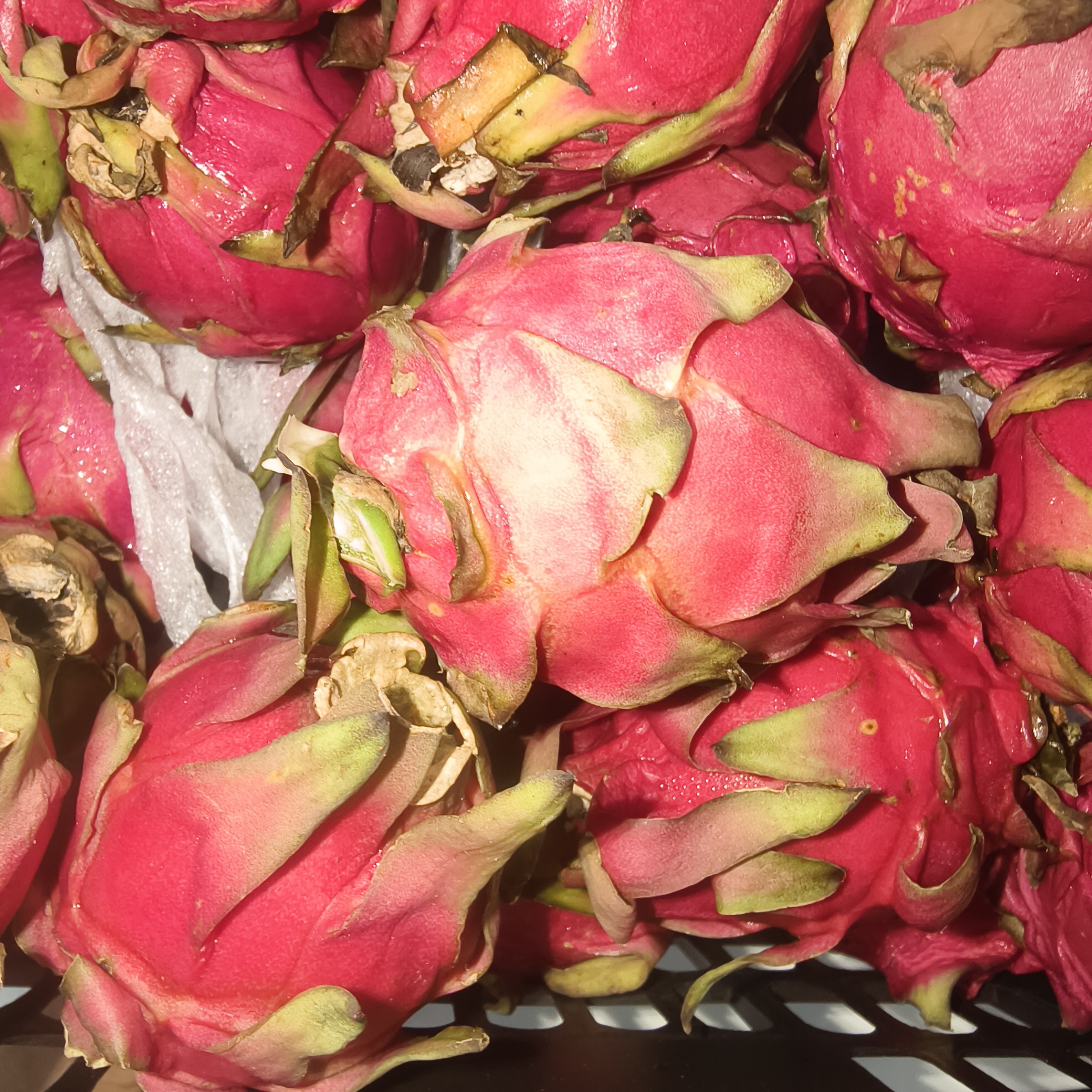 1块钱一个金都一号红心火龙果新鲜应季水果到货