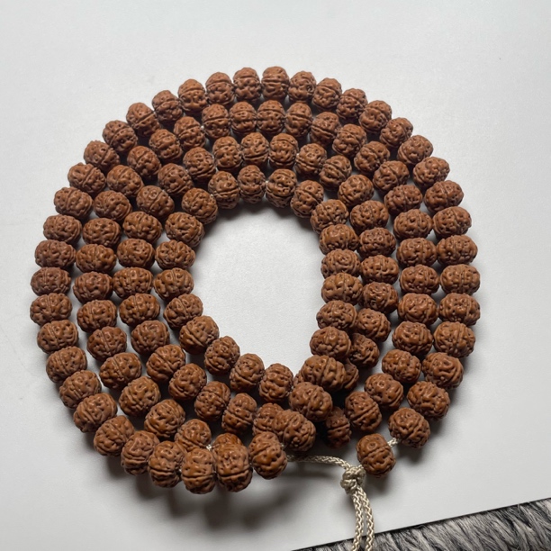 甄选款南瓜老树王108小金刚菩提