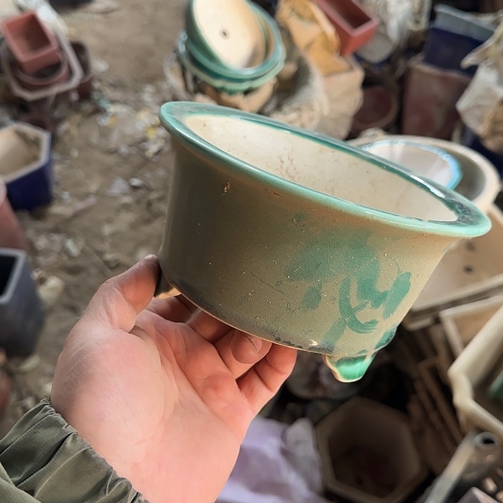 这一期太有意思咯好棒好可爱的小朋友